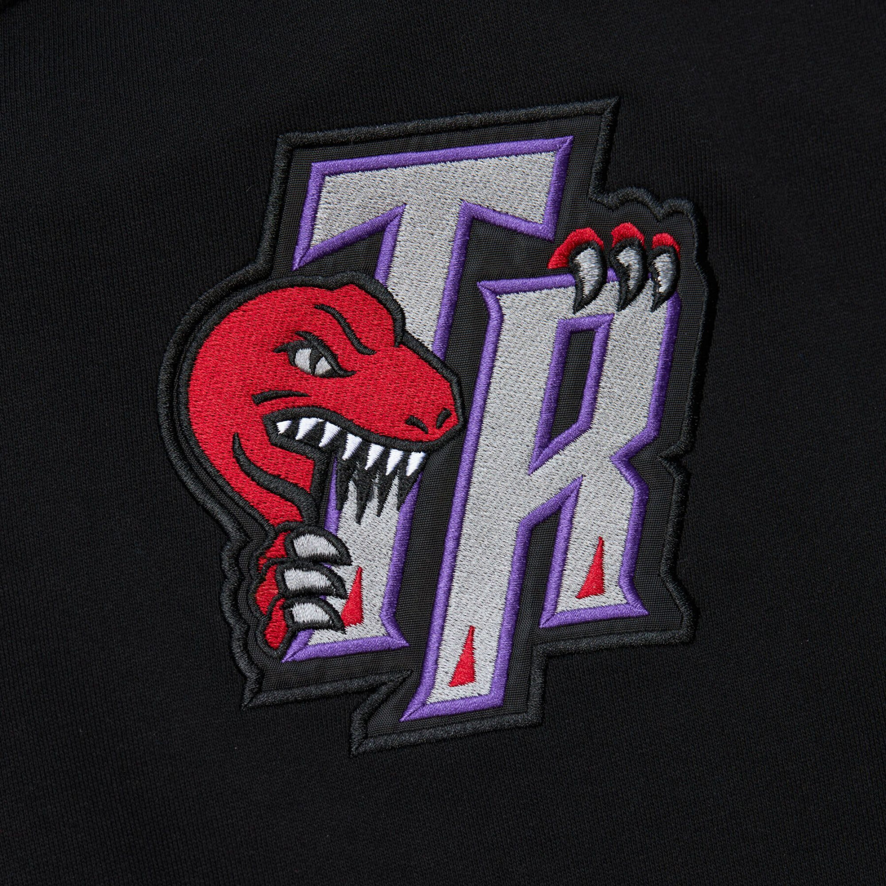 Sweatshirt à capuche Vintage Toronto Raptors 2.0