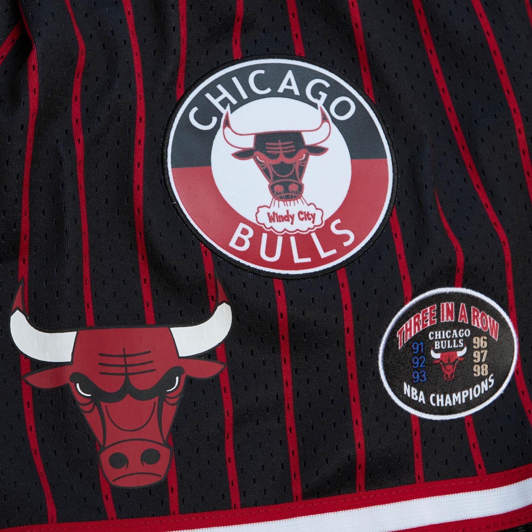 Short Chicago Bulls Hometown Mesh
