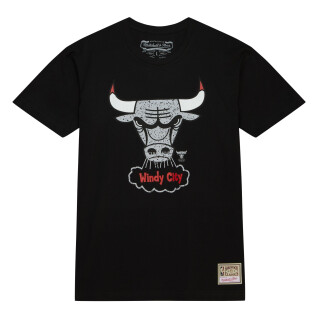 T-shirt Chicago Bulls Cracked Cement Los Angeles Lakers