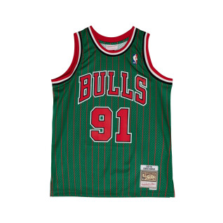 Maillot Chicago Bulls Swingman Dennis Rodman 1996/07
