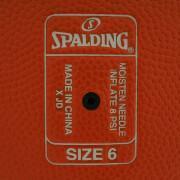 Ballon Spalding LNB Tf350 (76-384z)
