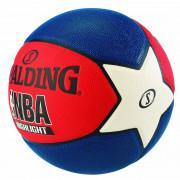 Ballon Spalding NBA Highlight