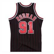 Maillot authentique Chicago Bulls Dennis Rodman #91 1995/1996