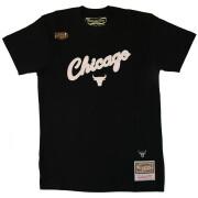 T-shirt Chicago Bulls cloudy skies city