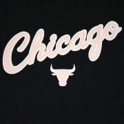 T-shirt Chicago Bulls cloudy skies city