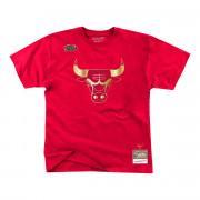 T-shirt Chicago Bulls mida