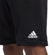Short adidas Sport 3-Stripes