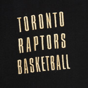 Sweatshirt à capuche Vintage Toronto Raptors 2.0