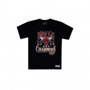 T-shirt last dance Chicago Bulls '96 champs