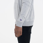 Sweatshirt à capuche Charlotte Hornets NBA
