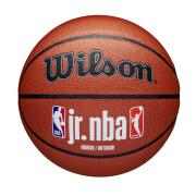 Ballon Wilson NBA Fam