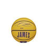 Mini ballon Wilson NBA Lebron James